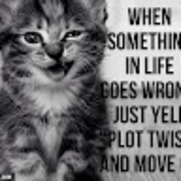 Meet your Posher, Iamtheabigator - Picture 1 of 1